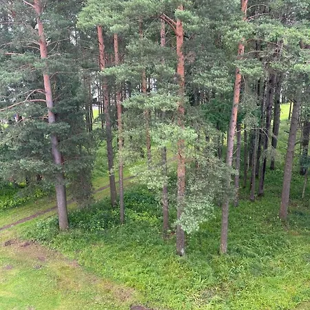 아파트 Cosy Appartment. Puessi Town