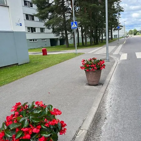 Cosy Appartment. Puessi Town Apartment *