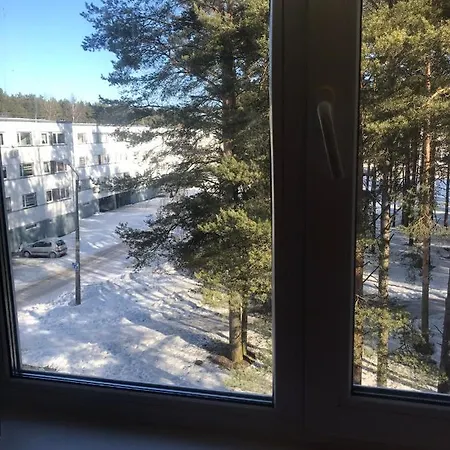 Cosy Appartment. Puessi Town