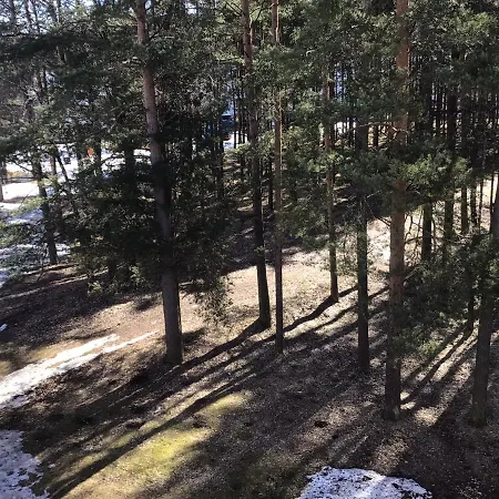 Apartment Cosy Appartment. Puessi Town