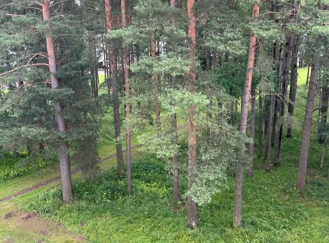 Apartment Cosy Appartment. Puessi Town