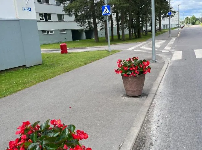 Cosy Appartment. Puessi Town Apartment *