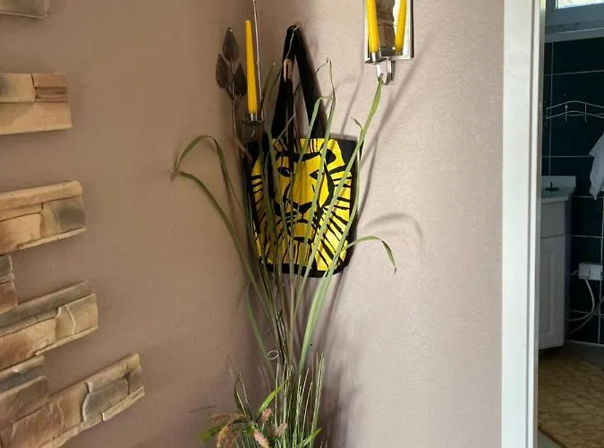 Cosy Appartment. Puessi Town Pyussi