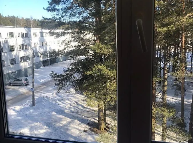 Cosy Appartment. Puessi Town