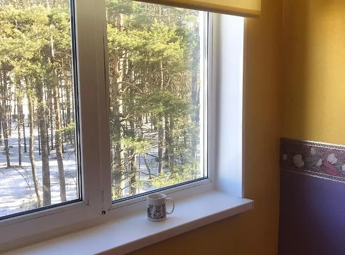 Cosy Appartment. Puessi Town